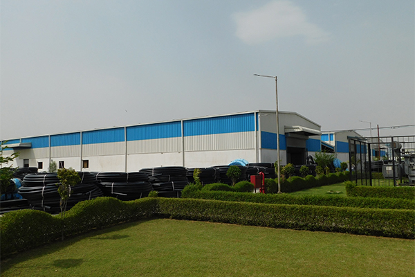 Embedded in our culture